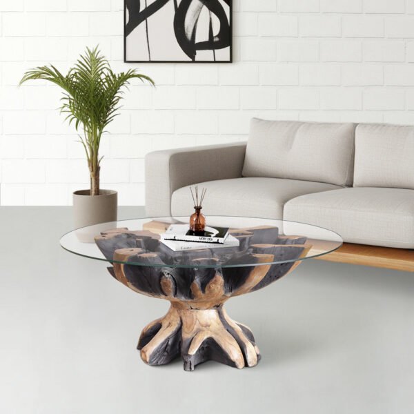 Teak Root Coffee Table