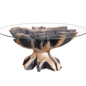Teak Root Coffee Table