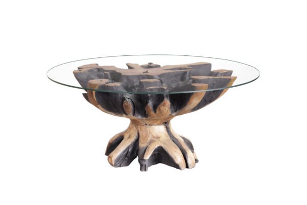Teak Root Coffee Table