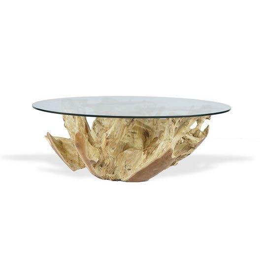 Teak Root Coffee Table