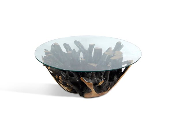 Teak Root Coffee Table