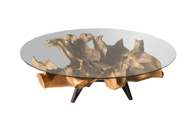 Teak Root Coffee Table