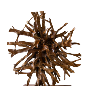 Teak Root Sculpture