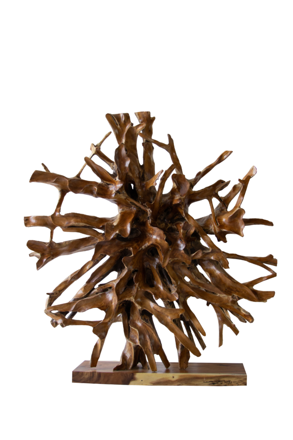 Teak Root Sculpture