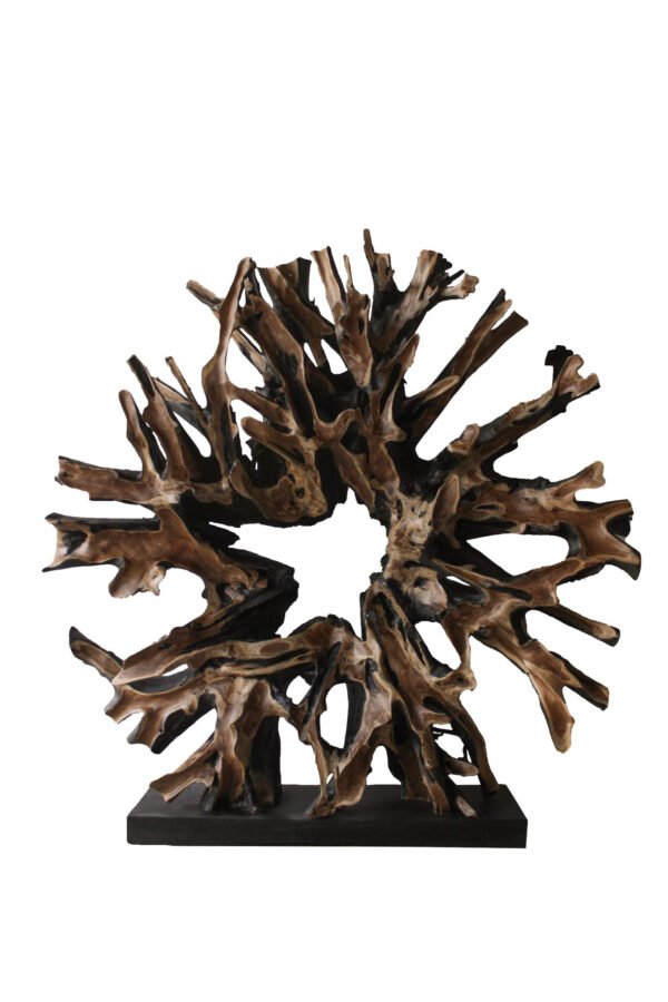 Teak Root Sculpture