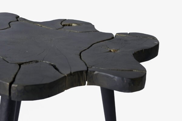 Live Edge Side Table