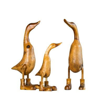 Family Duck