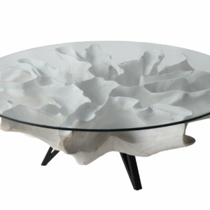 Teak Root Coffee Table