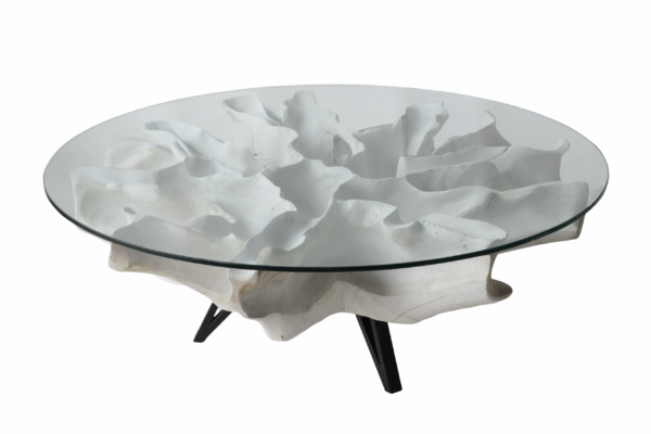 Teak Root Coffee Table