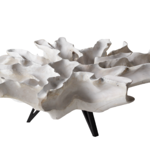 Teak Root Coffee Table