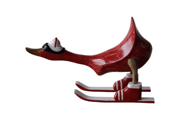 Skiing Duck