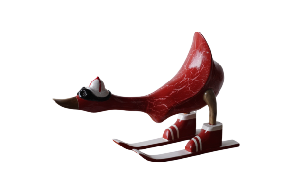 Skiing Duck