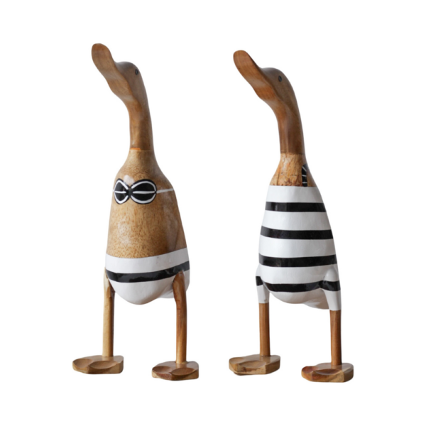 Couple Duck