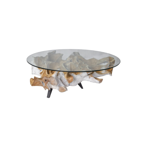 Teak Root Coffee Table